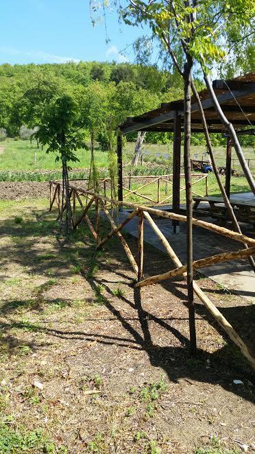 Bed and Breakfast Dal Biondo Dogliola Zewnętrze zdjęcie
